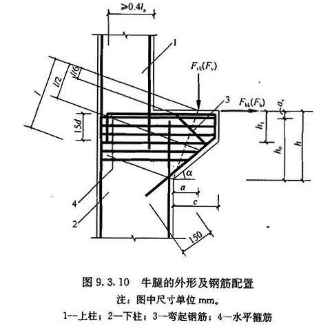 （Ⅲ）牛 腿，插图 1