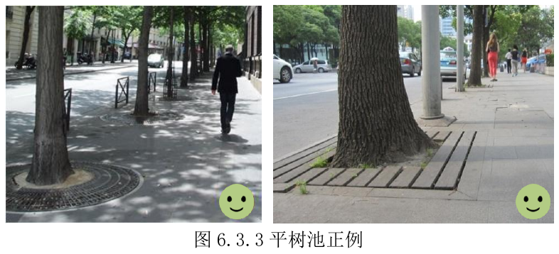图6.3.3平树池正例