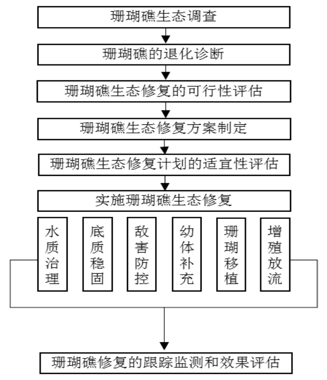 珊瑚礁生态修复工作流程，官方原件第60页